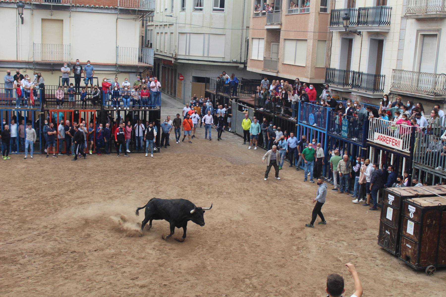 Bous al carrer - Octubre 2021