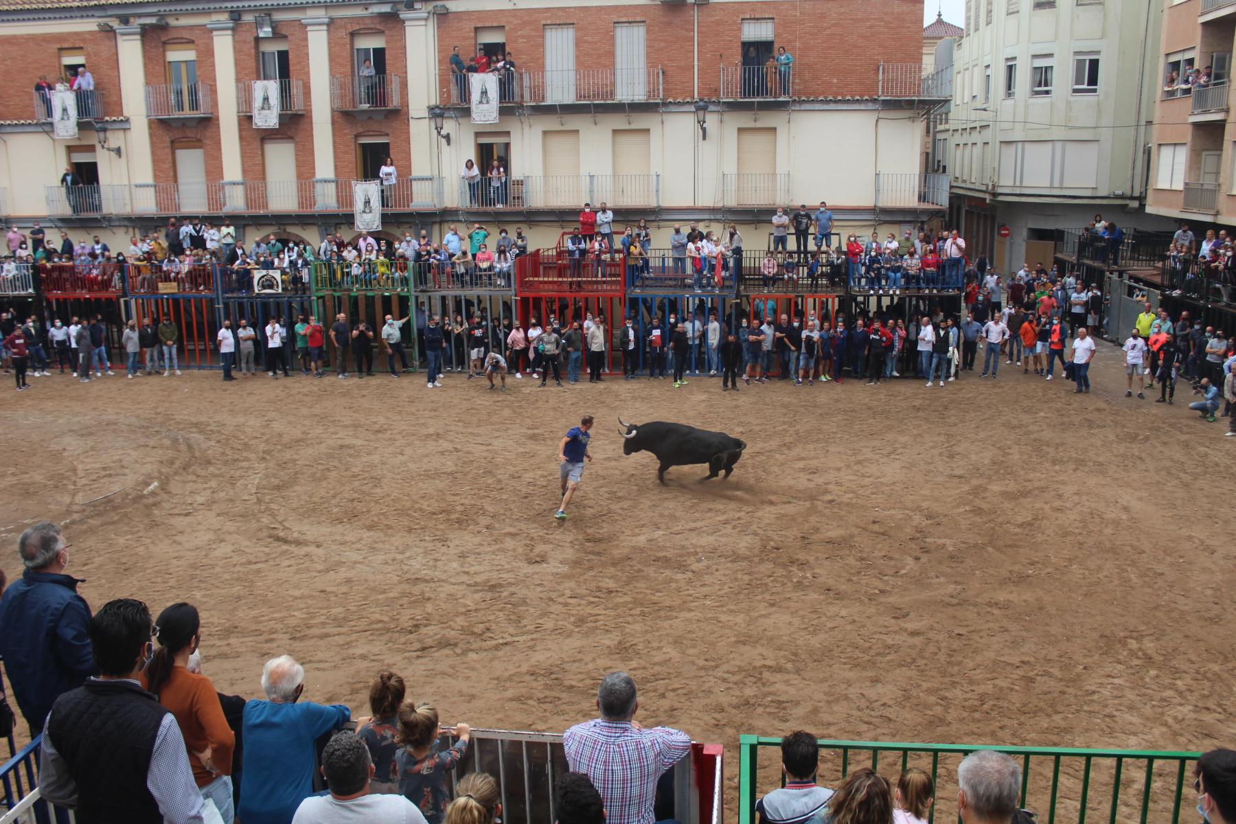 Bous al carrer - Octubre 2021
