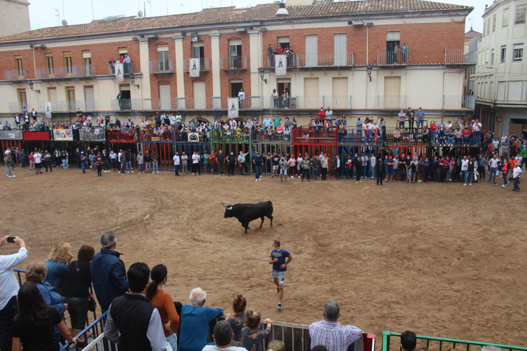 Bous al carrer - Octubre 2021
