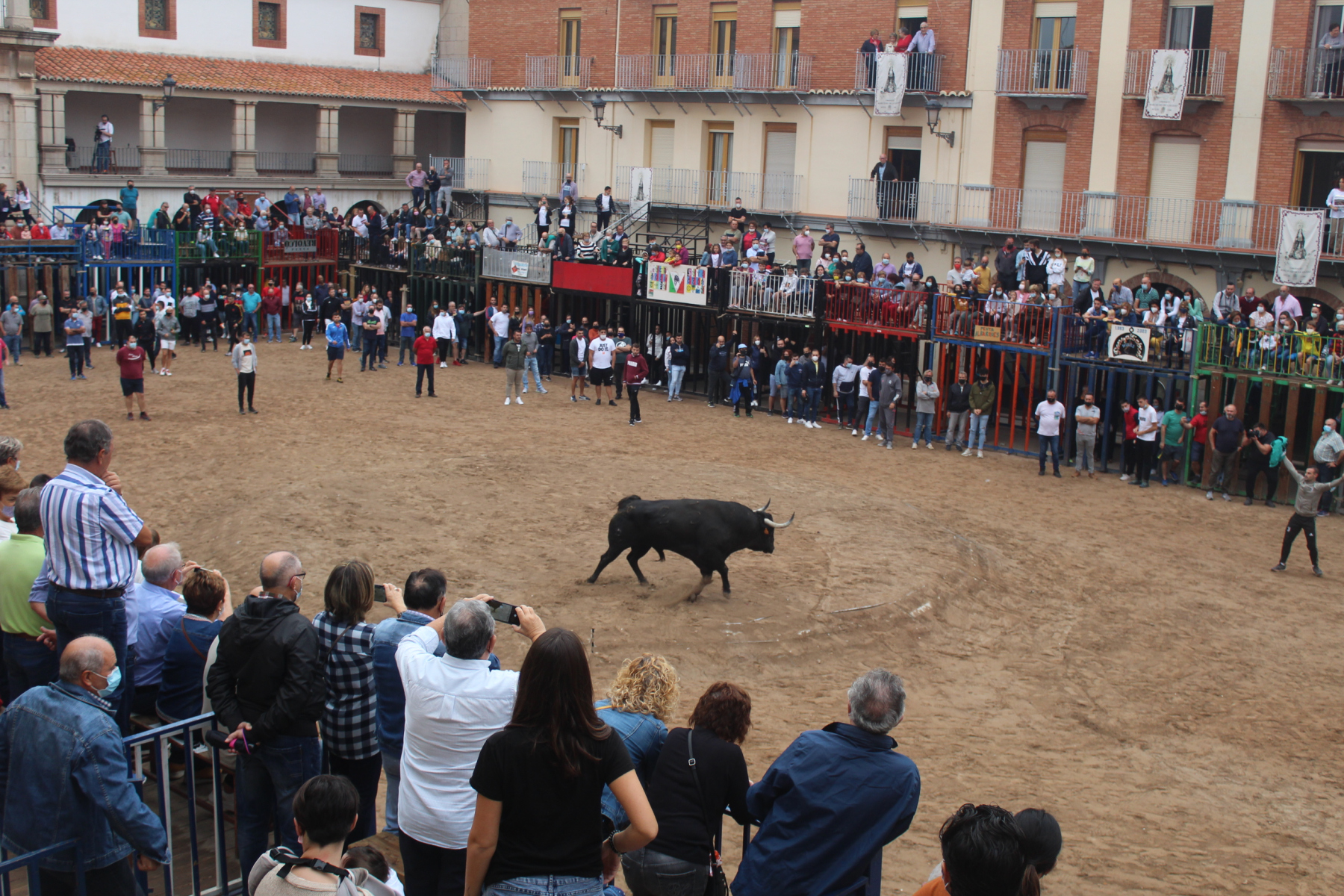 Bous al carrer - Octubre 2021