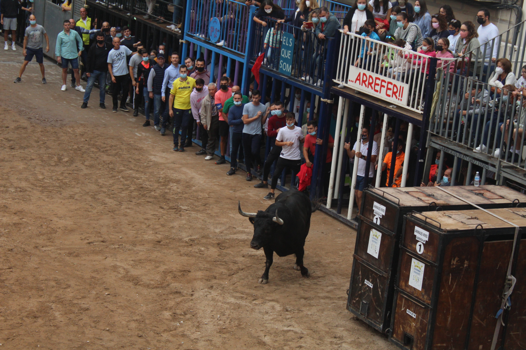 Bous al carrer - Octubre 2021