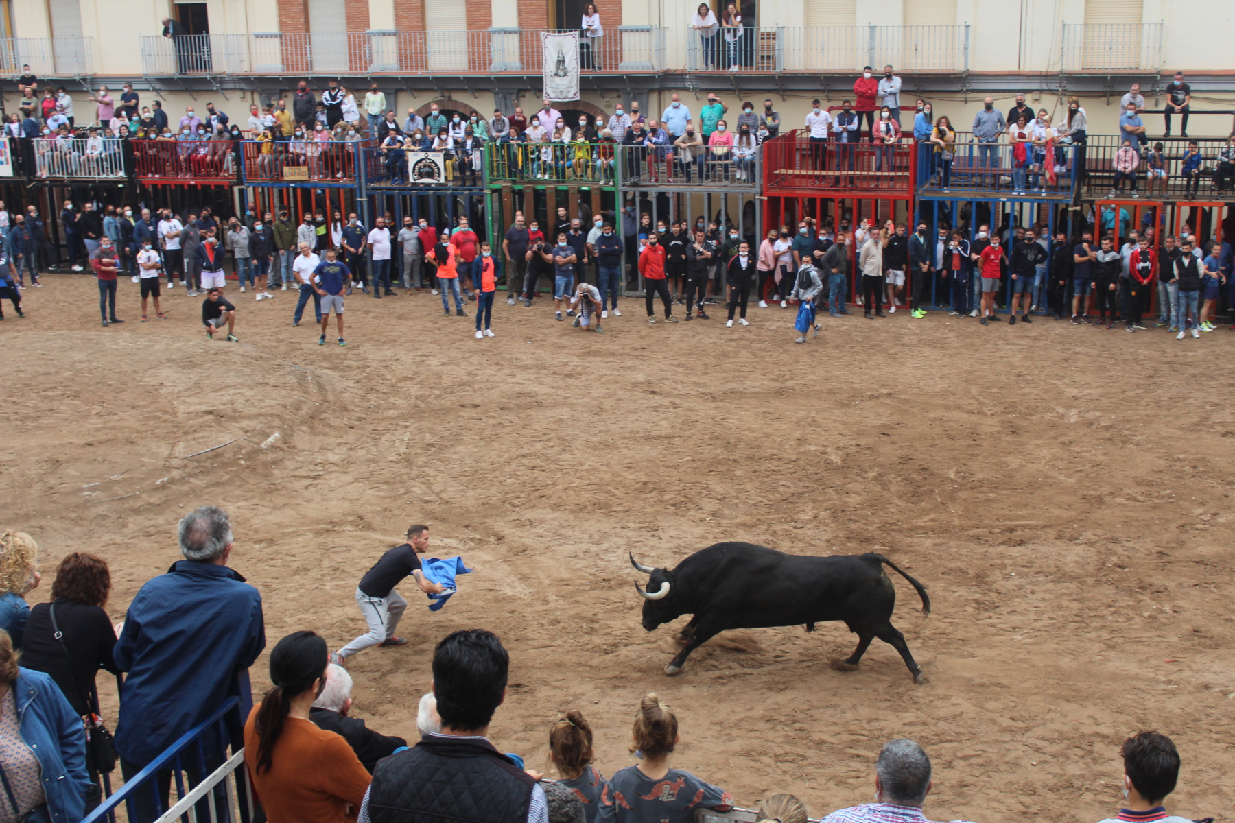 Bous al carrer - Octubre 2021