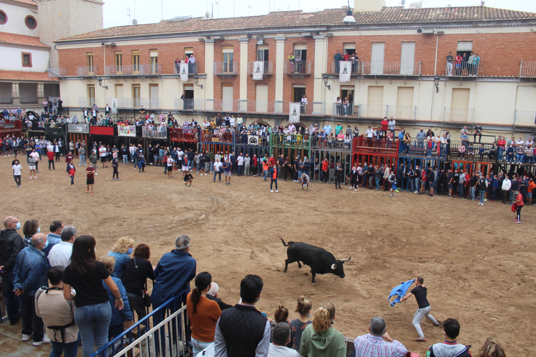 Bous al carrer - Octubre 2021
