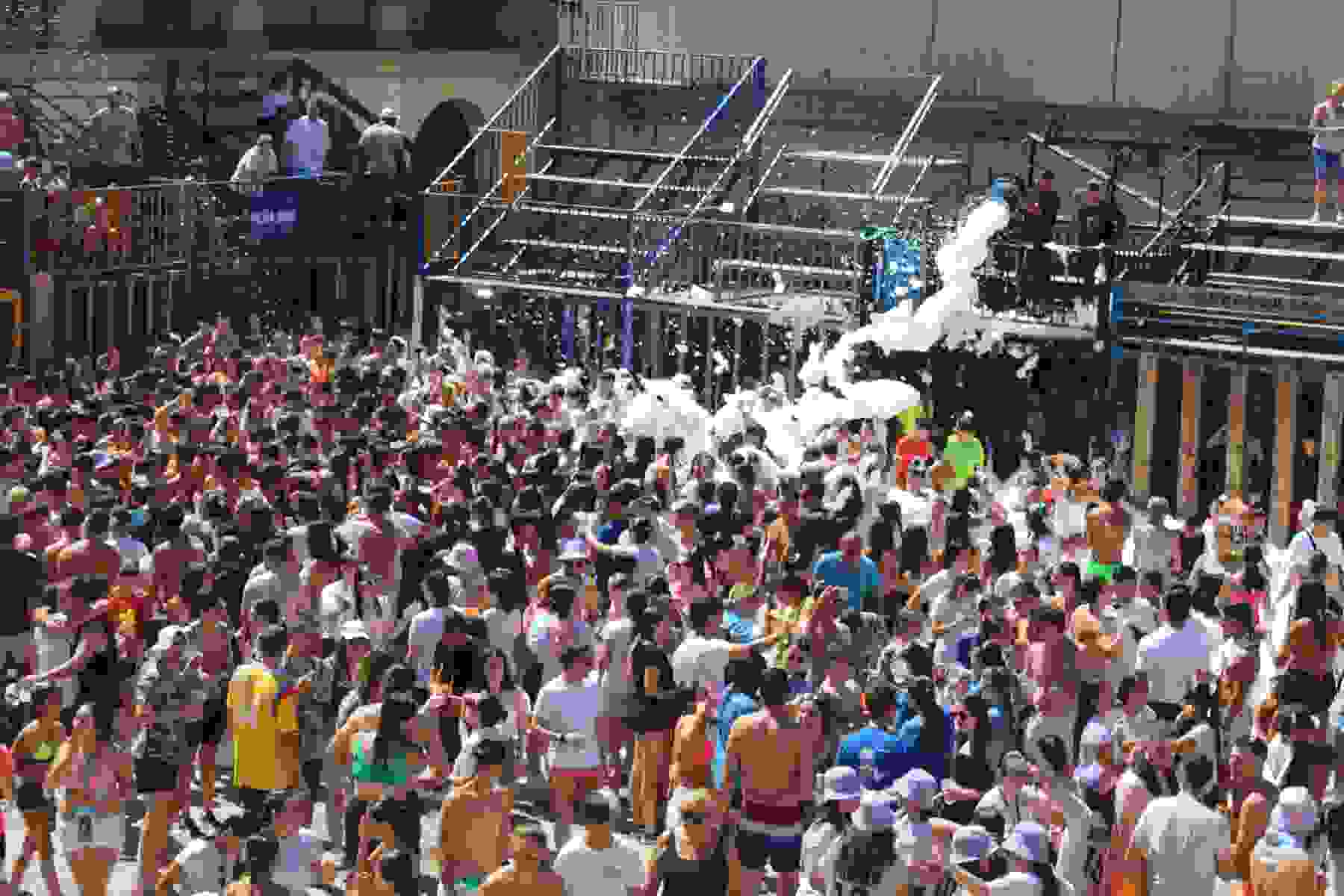 FESTES PATRONALS - 2024