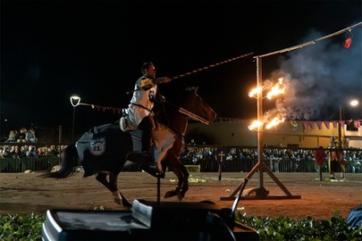 XVII FIRA MEDI MASCARELL