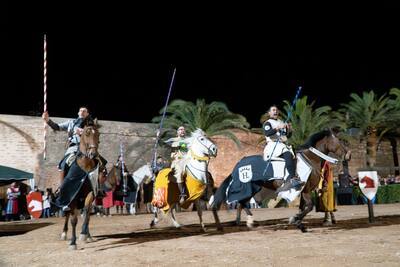 XVII FIRA MEDI MASCARELL