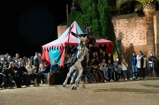 XVII FIRA MEDI MASCARELL
