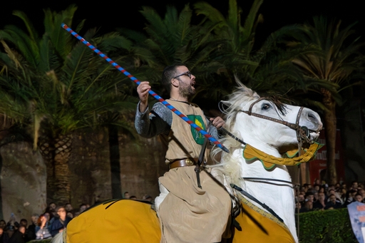 XVII FIRA MEDI MASCARELL
