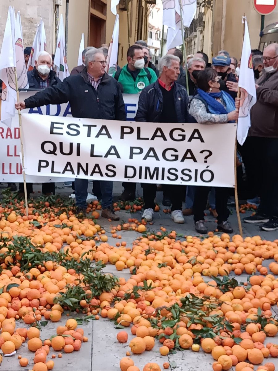 Reivindicacions del sector agrari - 2022