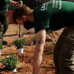 Nules dóna feina a un total de 73 persones mitjançant els diferents programes d'ocupació locals