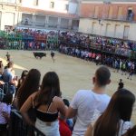 Nules insta a la Generalitat Valenciana a ajudar al sector de la ramaderia davant la suspensió en molts pobles dels festejos taurins