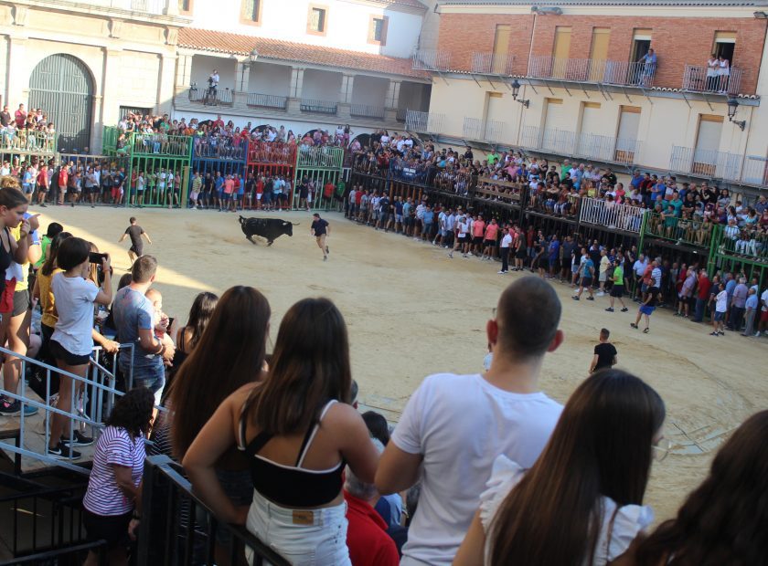 BOUS-AL-CARRER