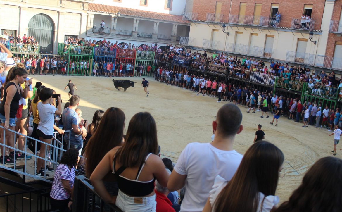 BOUS-AL-CARRER