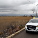 Particulares podrán desplazarse a segundas residencias de Nules para hacer tratamientos contra mosquitos