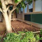 Nules realitza actuacions de millora al pati del CEIP Pío XII