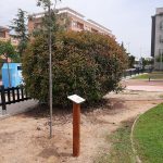 NULES SE ADHIERE A LA INICIATIVA MEDIOAMBIENTAL #UNÁRBOLPOREUROPA