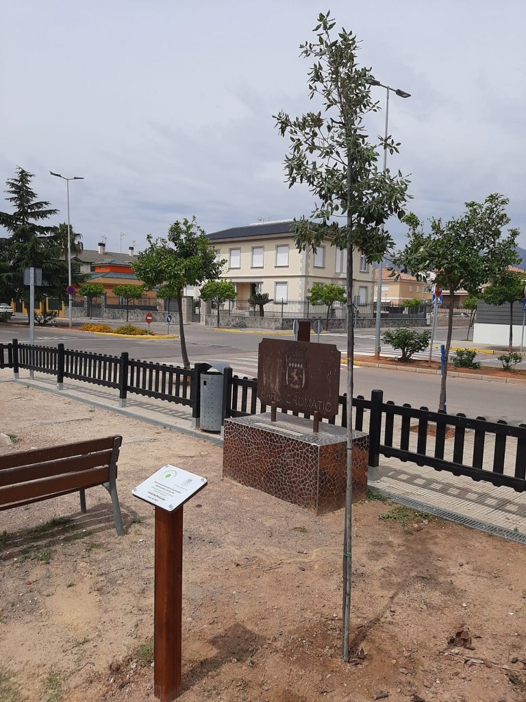 arbol