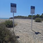 NULES COMPTA JA AMB LA SEUA PRIMERA PLATJA CANINA