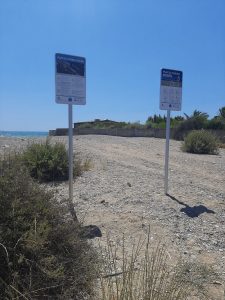 playa_canina
