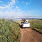 NULES REALITZA ACTUACIONS DE PREVENCIÓ DE MOSQUITS EN DIFERENTS PUNTS DEL TERME MUNICIPAL