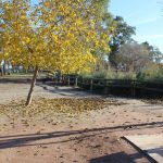 Nules contractarà a 91 treballadors aturats del sector agrari