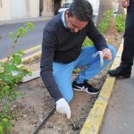 Nules lleva un mes realizando controles de mascotas que incluyen la prueba de ADN