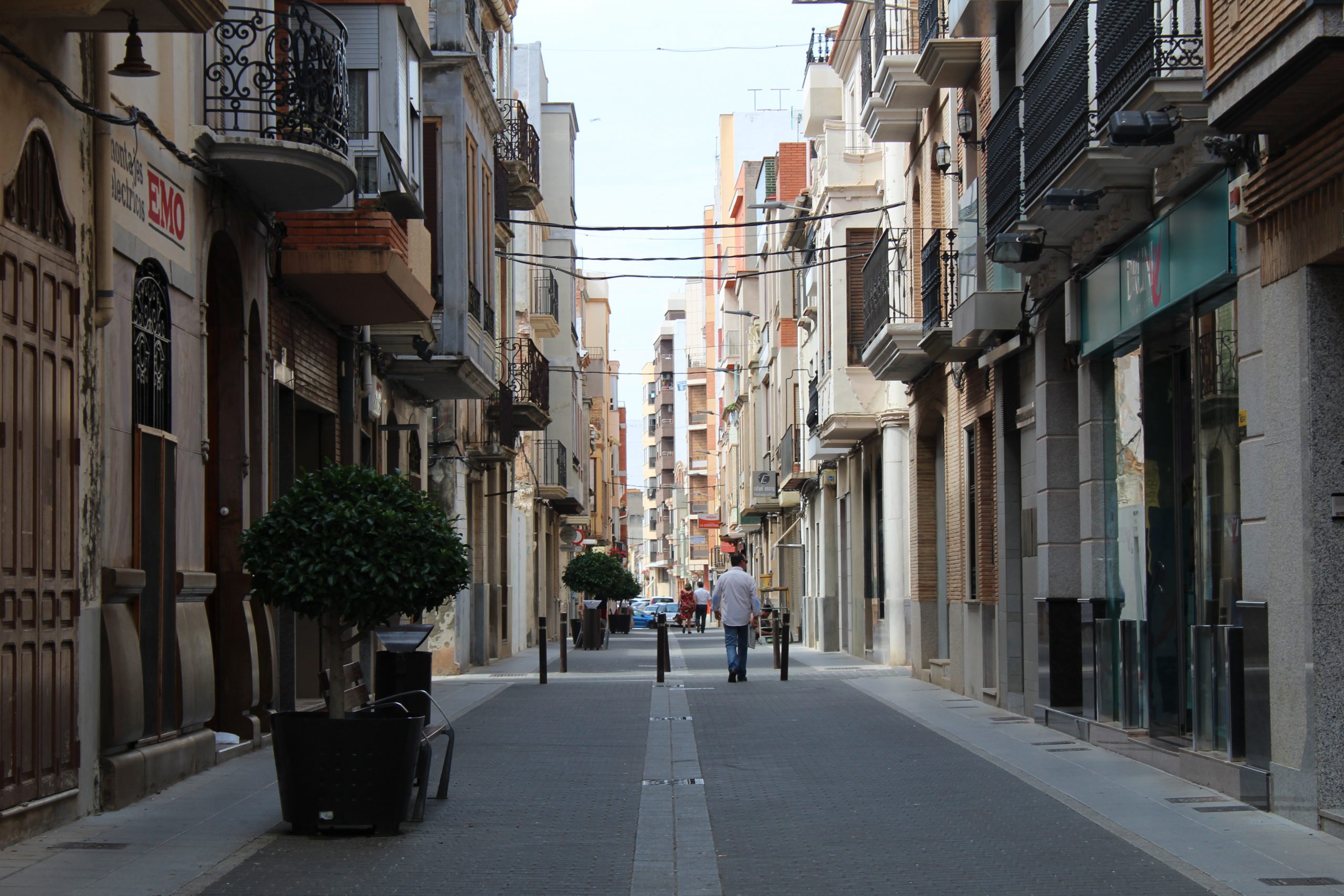 adn-cani