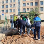 Nules dinamitza l’Espai Verd Viu amb motiu del Dia Internacional de l’Arbre