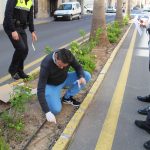 Nules comença l’arreplega de mostres emmarcada en la campanya municipal del nou cens caní
