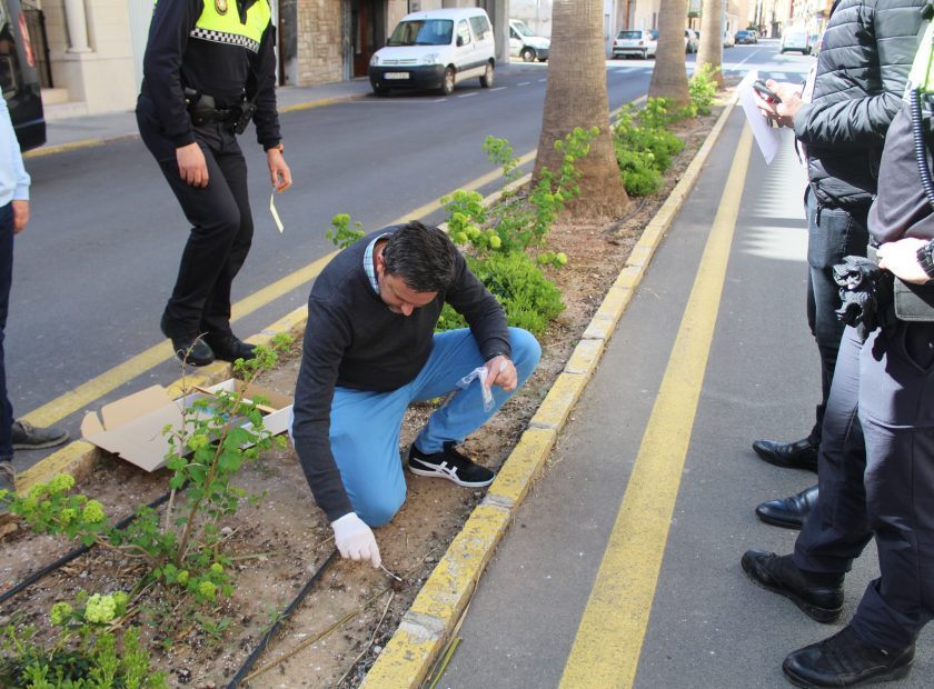 arreplega