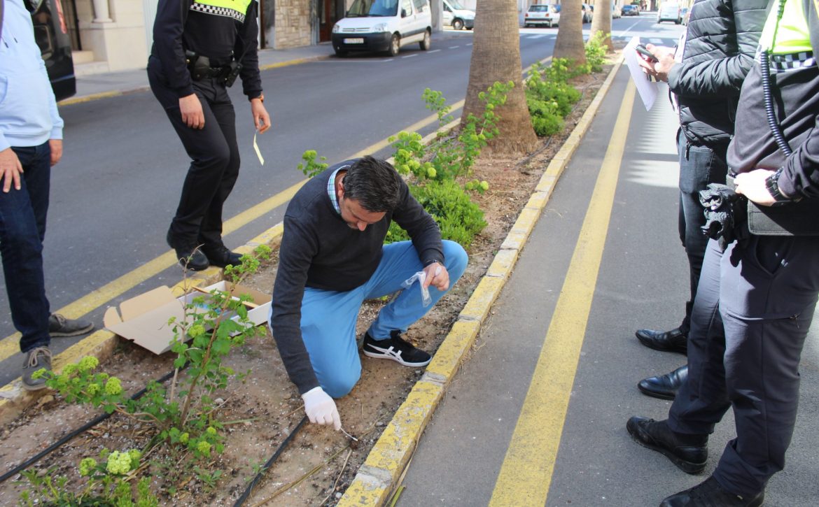 arreplega