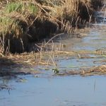 Nules contractarà 102 aturats agraris amb 175.000 euros