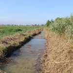 102 treballadors agraris es beneficien de les ajudes de l’atur agrari