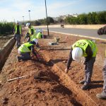 Los alumnos de T´Avalem Nules comienzan la fase práctica con la remodelación del paseo de Mascarell