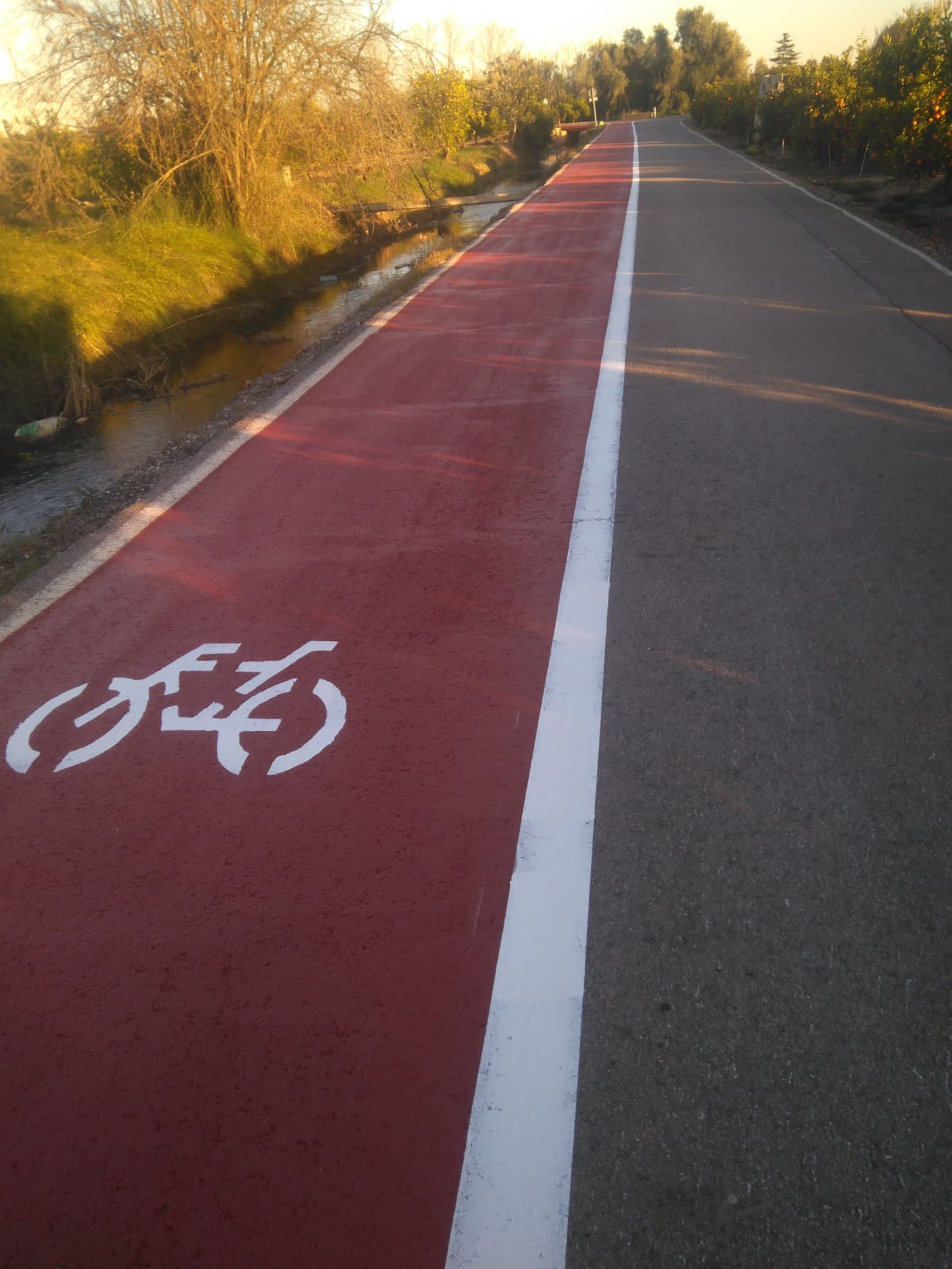 carril-bici
