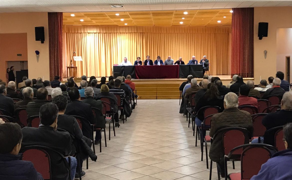citricultura