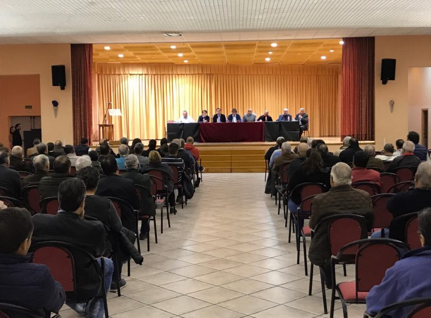 citricultura