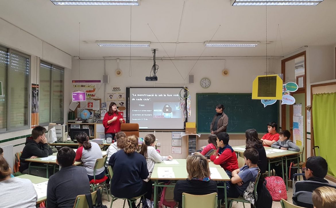 coeducacio