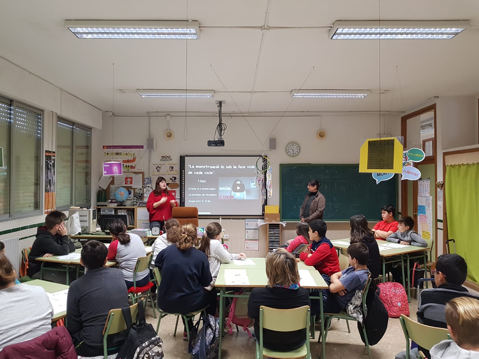 coeducacio