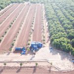 Nules és pionera a la província en el control amb drons de la campanya citrícola