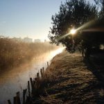 S’amplia el termini d’admissió de treballs per als concursos de fotografia vila de Nules i marjal de Nules