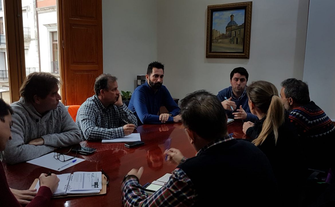 gorriones