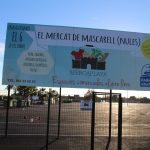 Nules sanciona a la empresa Mercaplaya por incumplimiento de contrato