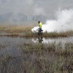 Nules aplica la Ordenanza Municipal de Prevención y Control de Mosquitos