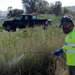 Nules intensifica los tratamientos contra mosquitos