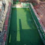 Localizado el foco de mosquitos que afecta a la zona del campo de fútbol