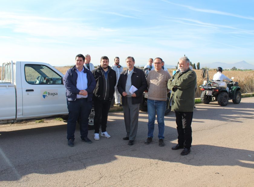 mosquits