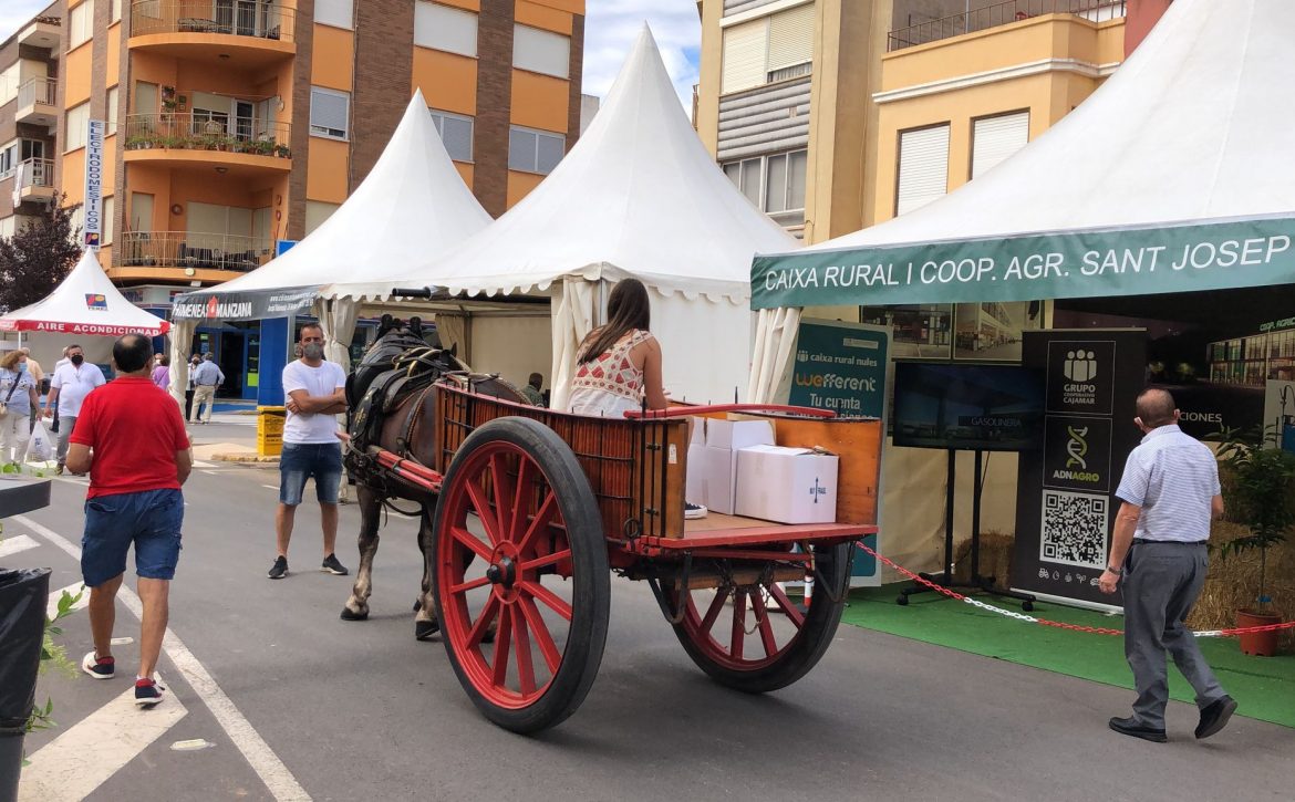 FIRA DE RAMADERIA