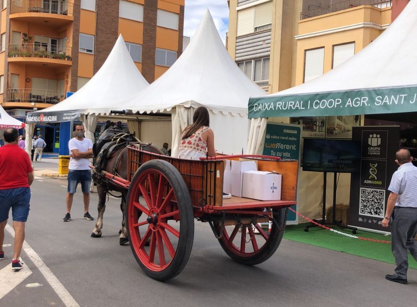 FIRA DE RAMADERIA