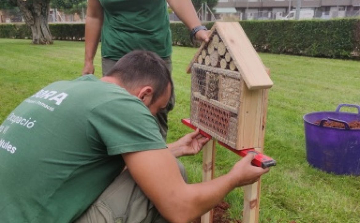 CORTS VALENCIANES HOTEL INSECTOS